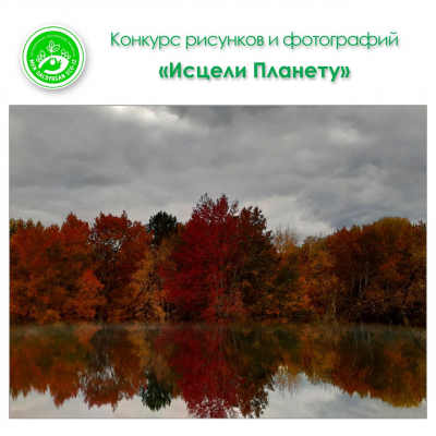 Стрит-арт с Цоем в Алматы, ремонт дороги к озеру Кольсай и специальный эпизод «Друзей»