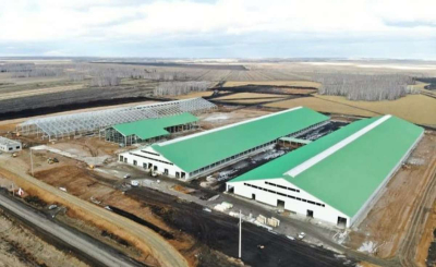 В тройке лидеров