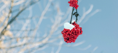 Осадки в виде дождя и снега с низовой метелью: о погоде по Казахстану в ближайшие три дня