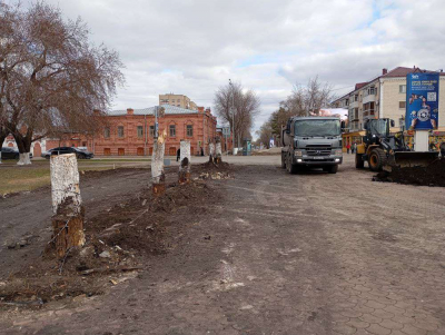 На месте спиленных деревьев посадят новые