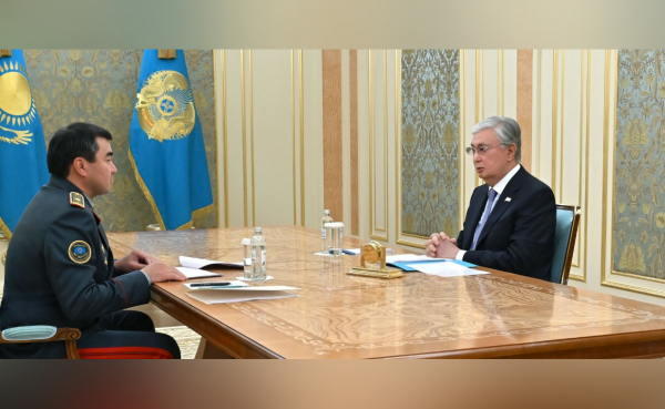 Токаев поставил ряд конкретных задач перед главой МЧС