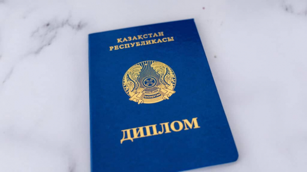 Перизат Кайрат просила подругу помочь «замутить» диплом