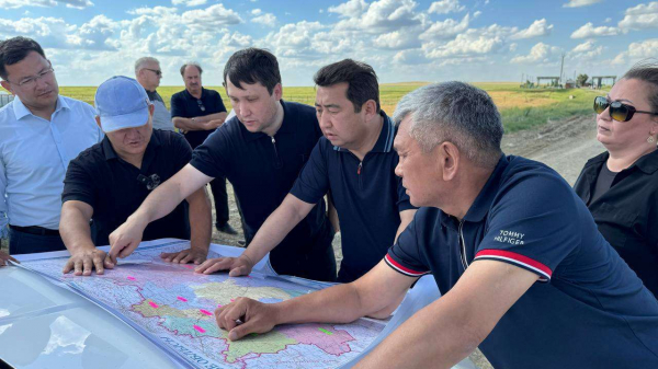 "Ситуация стабильная", - В Минсельхозе рассказали о ходе борьбы с саранчовыми