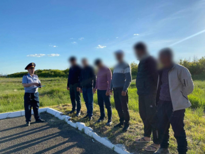 Иностранных граждан с поддельными документами задержали в Акмолинской области