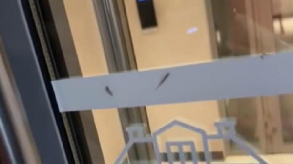 "Невозможно пройтись": на "огромных комаров" пожаловались астанчане (видео)