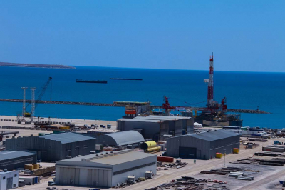 Нефтяной терминал Аскара Кулибаева вернули государству